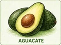 Aguacate