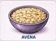 Avena