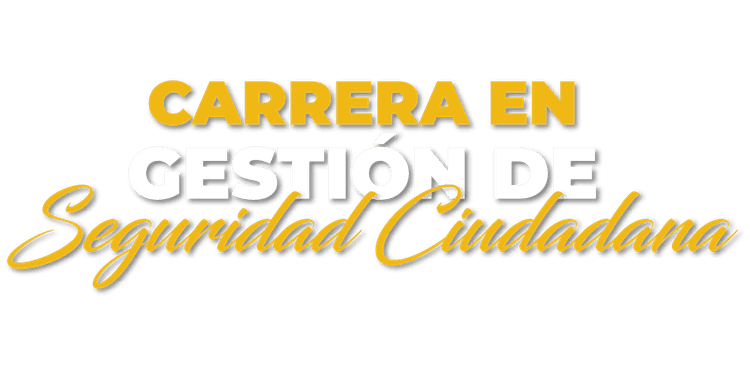Carrera en Gestión de Seguridad Ciudadana